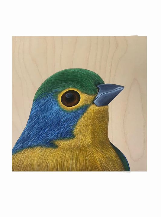 Bunting Bird Head Print