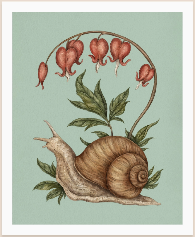 Snail and Bleeding Hearts Print