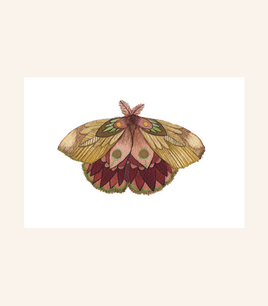 Moth 11 Print