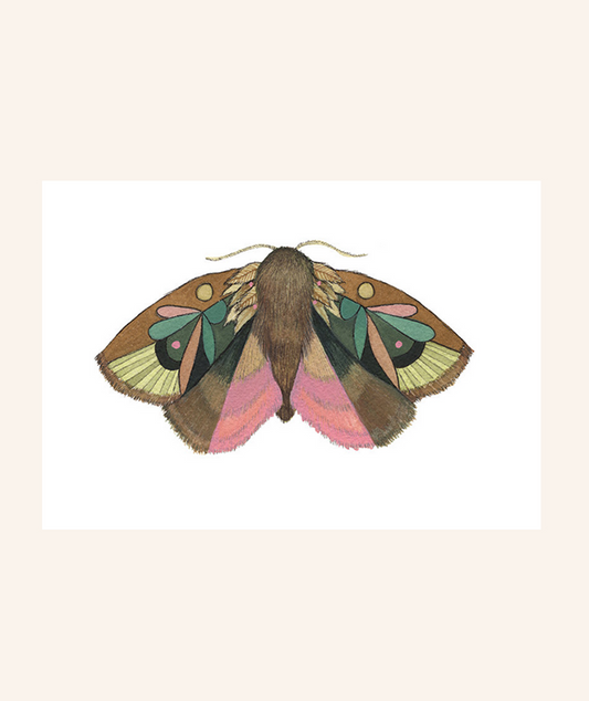 Moth 4 Print