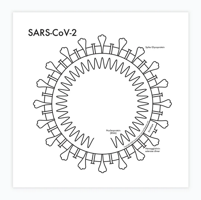 SARS-CoV-19 Print