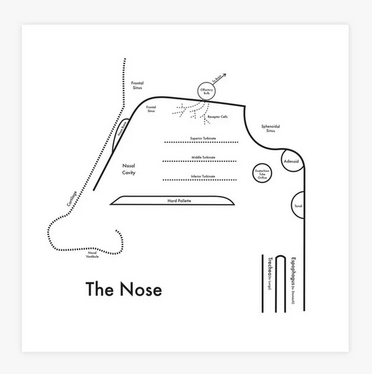 Nose Print