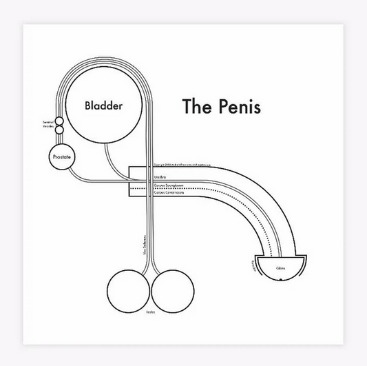 Penis Print