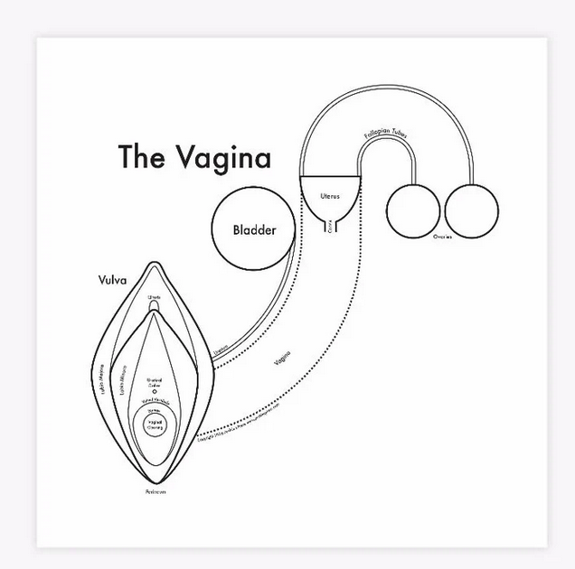 Vagina Print