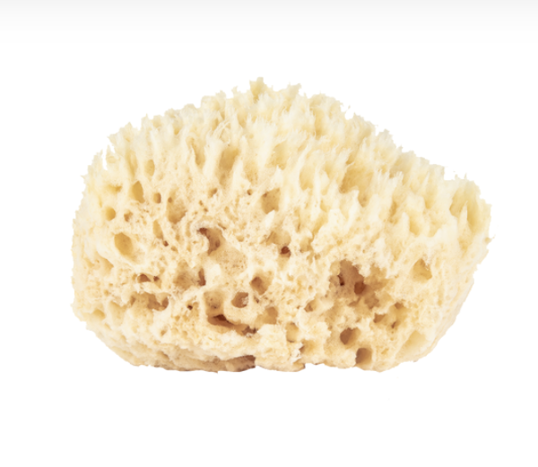 Wool Sea Sponge