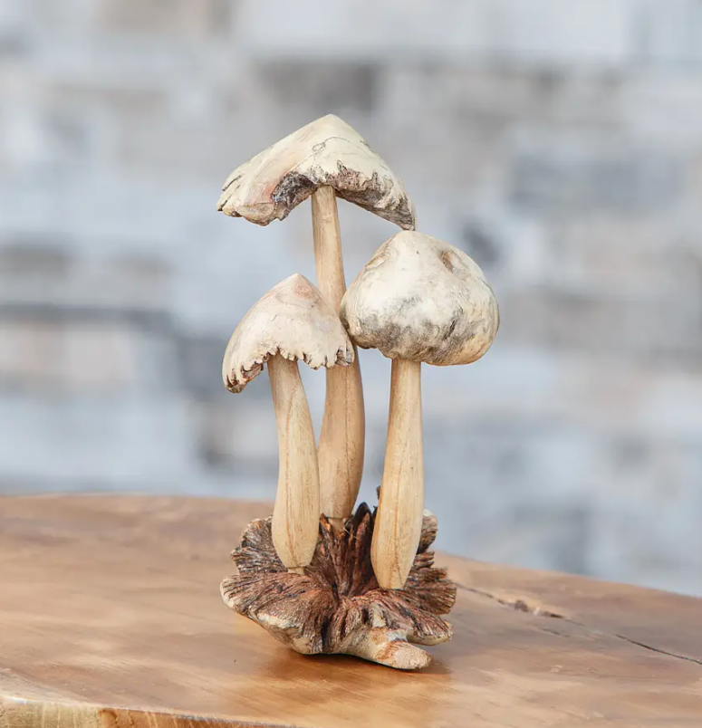 3 Mushrooms of Wood