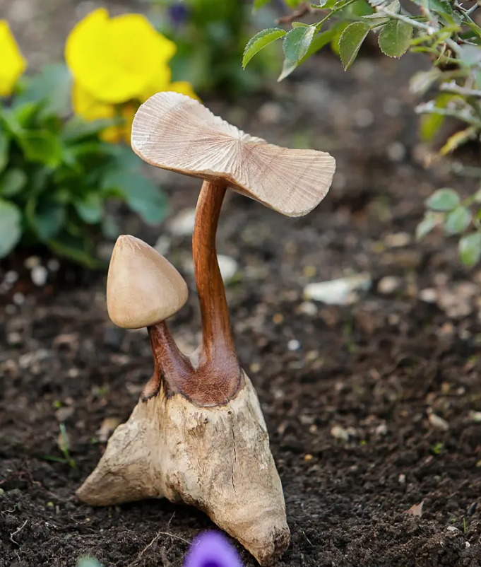 Wooden Gypsy Mushroom