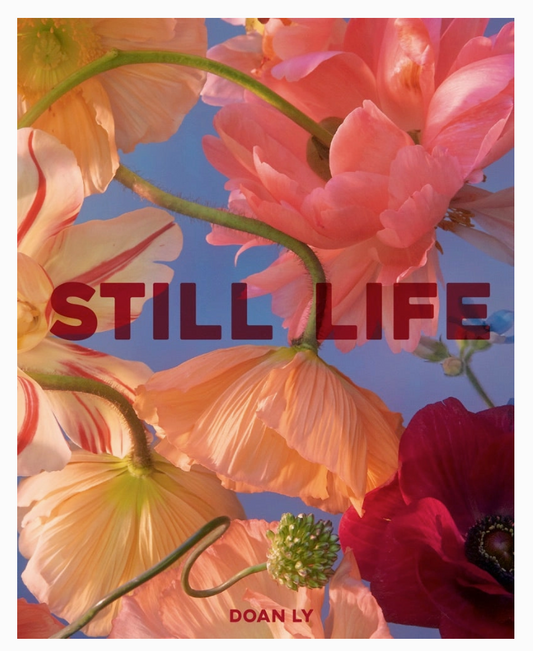 Still Life Book
