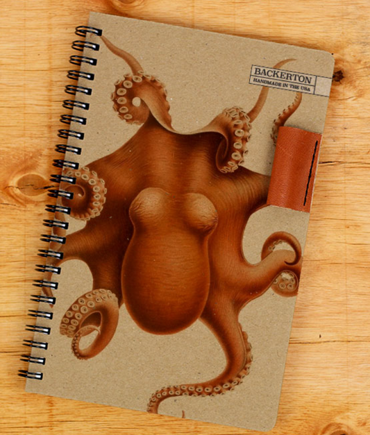 Octopus Notebook