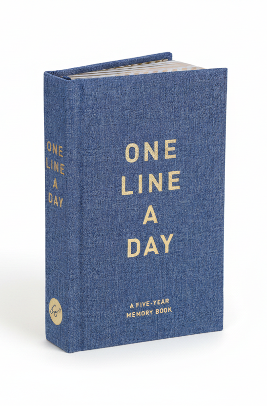 Blue journal titled 'One Line A Day'
