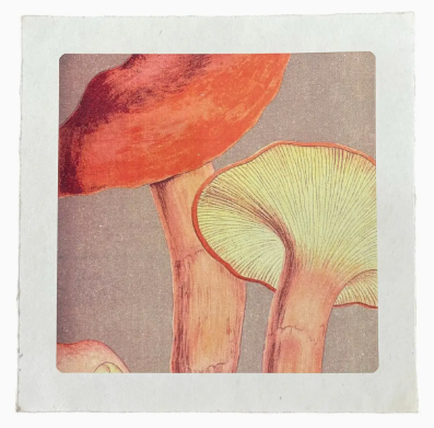 Illustration of mushrooms with red and green caps on a textured background