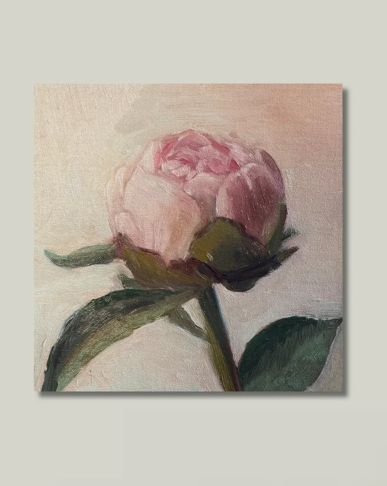 A Simple Peony | Print