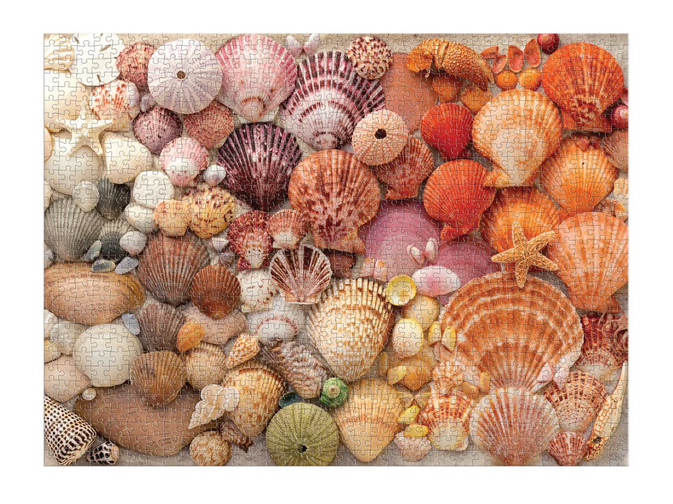 Vibrant Seashell Puzzle