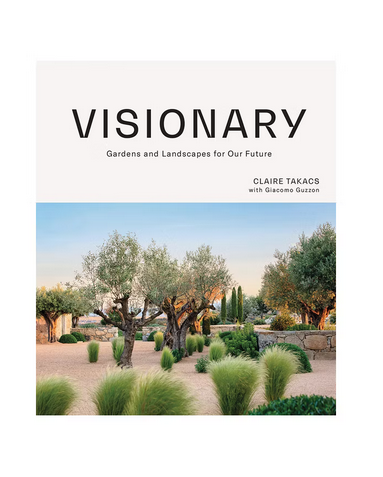 Visionary | Book