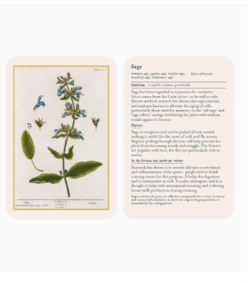 Healing Plants Cards