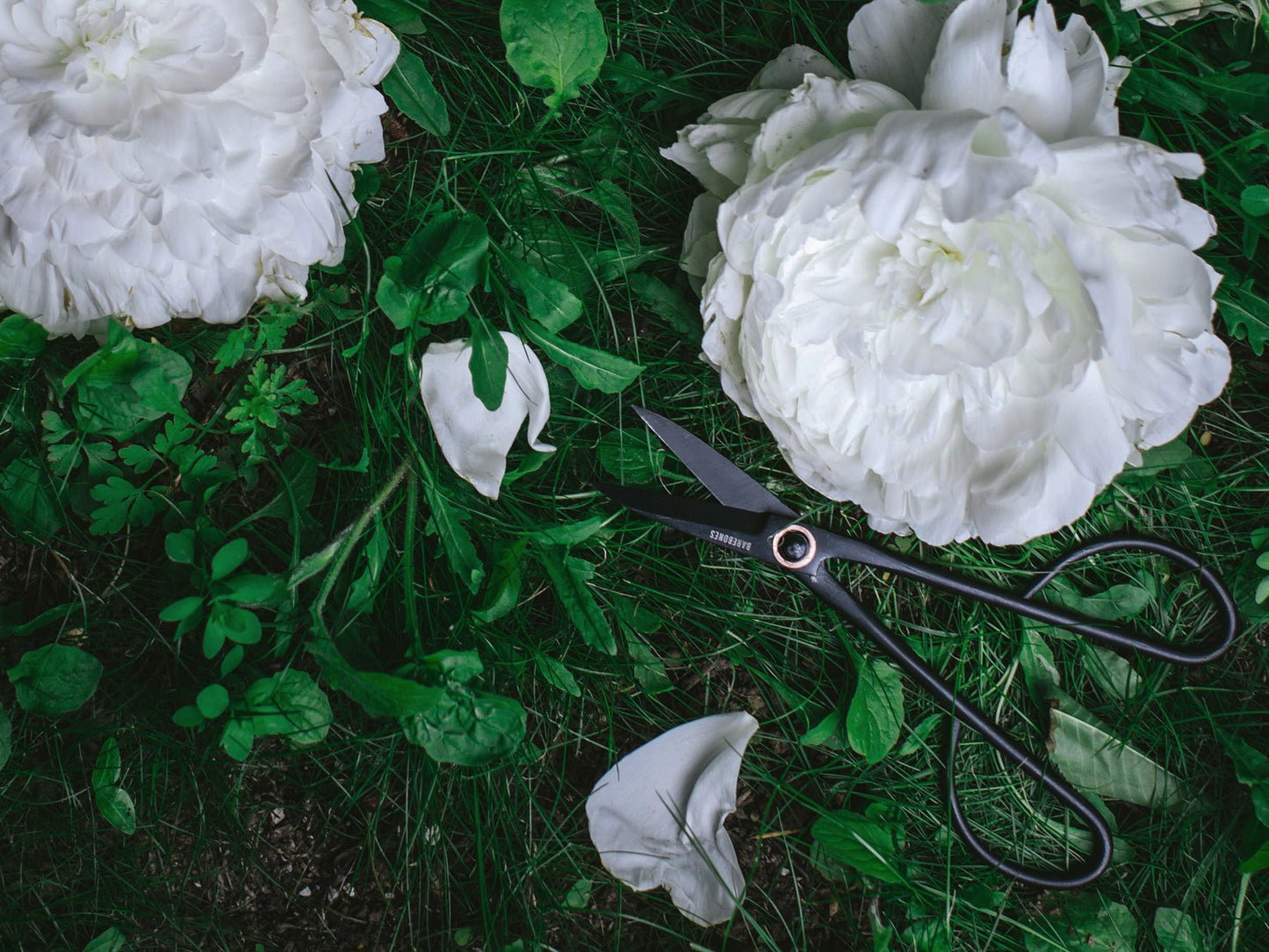 Trimming Gardening Shears