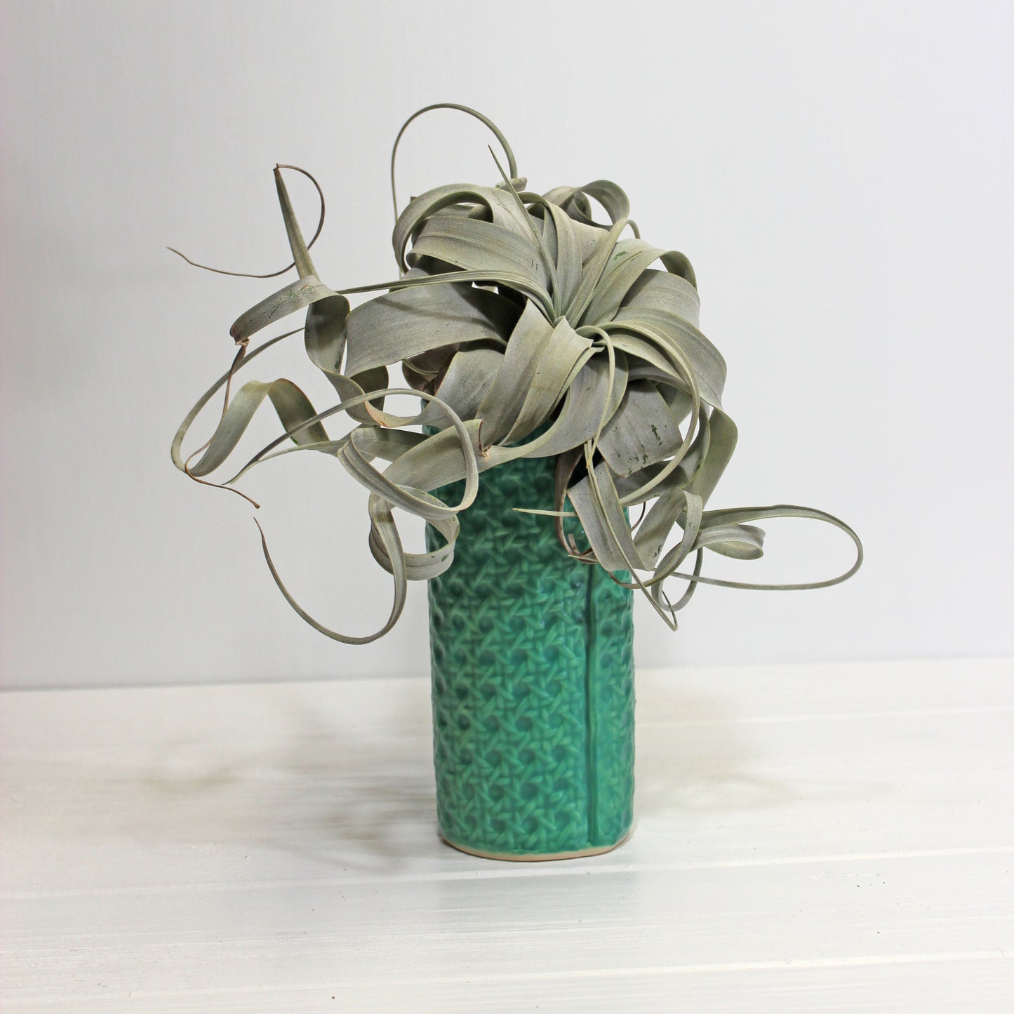 Minka Cane Vessels | Teal