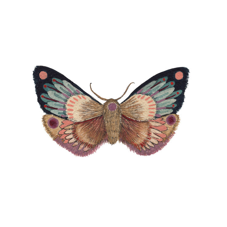 hand painted watercolor moth print