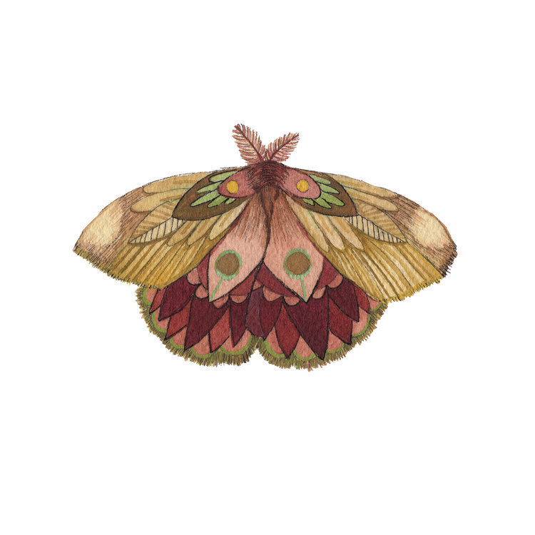 hand painted watercolor moth print