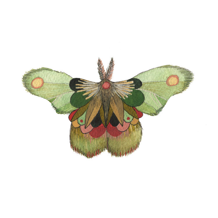 hand painted watercolor moth print