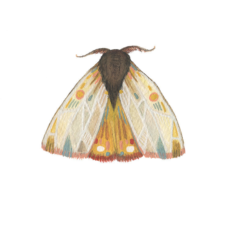 hand painted watercolor moth print