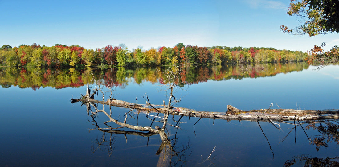 5 Places in Maine to Peep the Fall Foliage