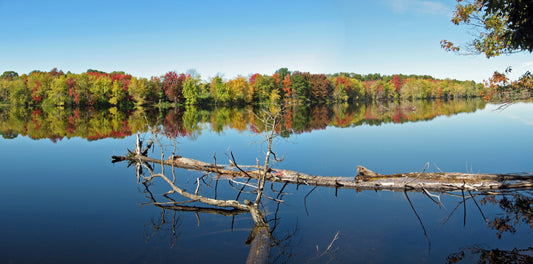 5 Places in Maine to Peep the Fall Foliage