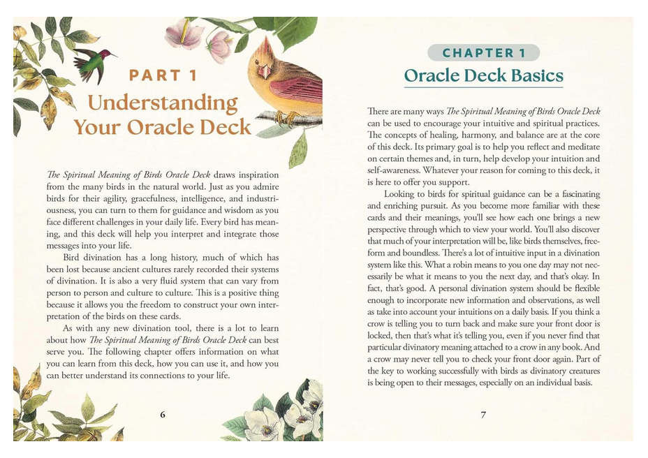 The Spiritual Meaning of Birds Oracle Deck