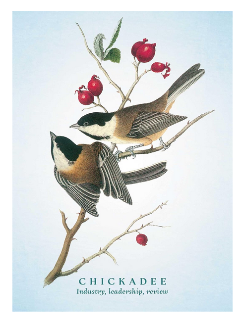 The Spiritual Meaning of Birds Oracle Deck