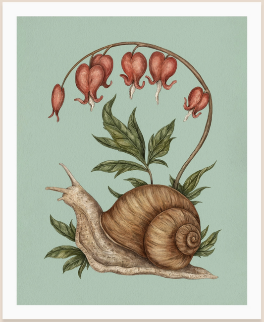 Snail and Bleeding Hearts Print
