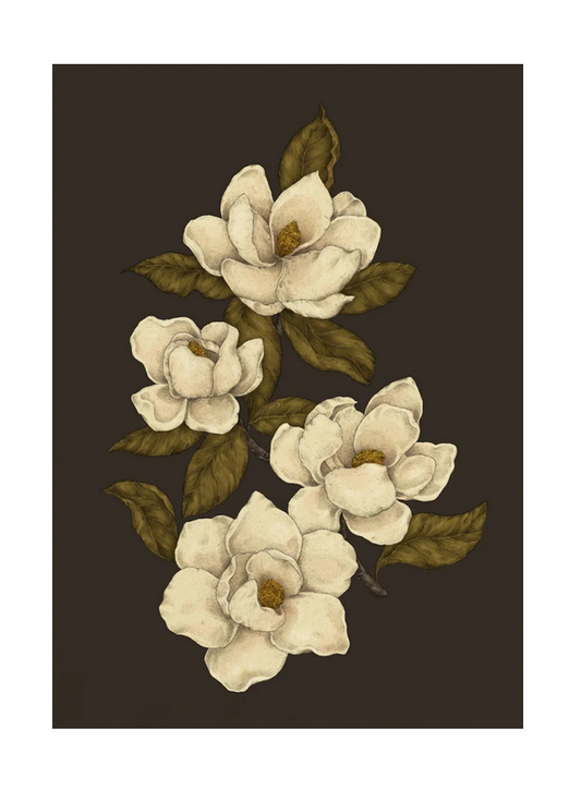 Magnolias Print