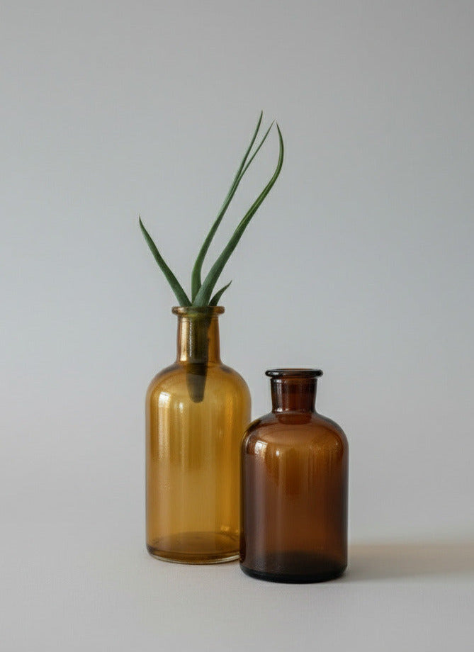 Two brown glass bottles with a plant on a wooden surface