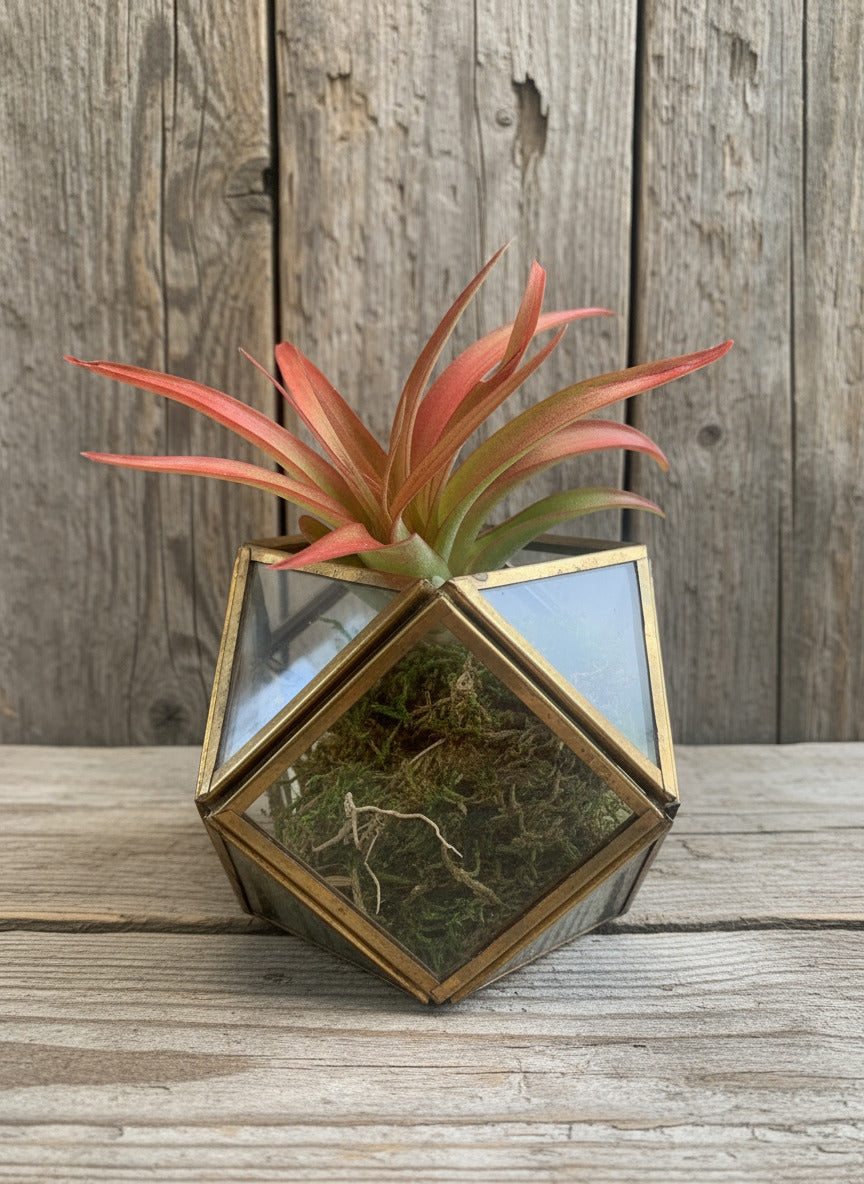 Geometric wall sconce with a plant in front of a wooden panel