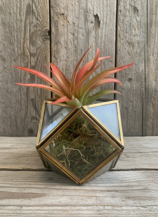 Geometric wall sconce with a plant in front of a wooden panel