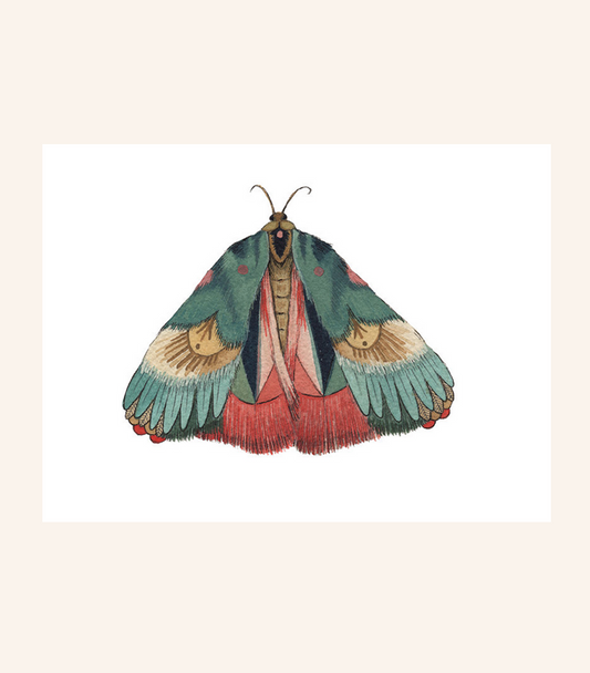 Moth 7 Print