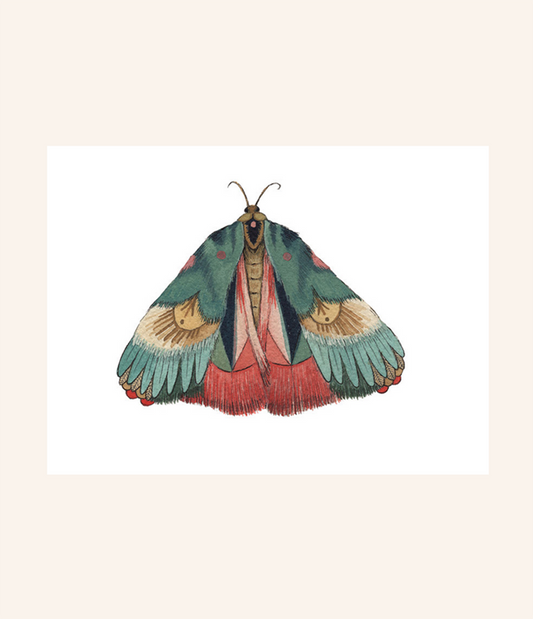 Moth 7 Print
