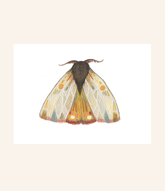 Moth 9 Print