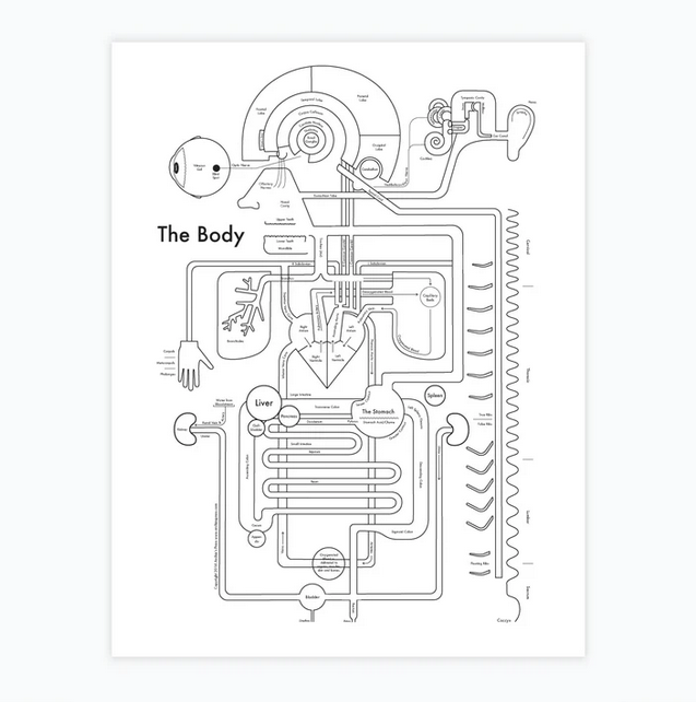 The Body Print