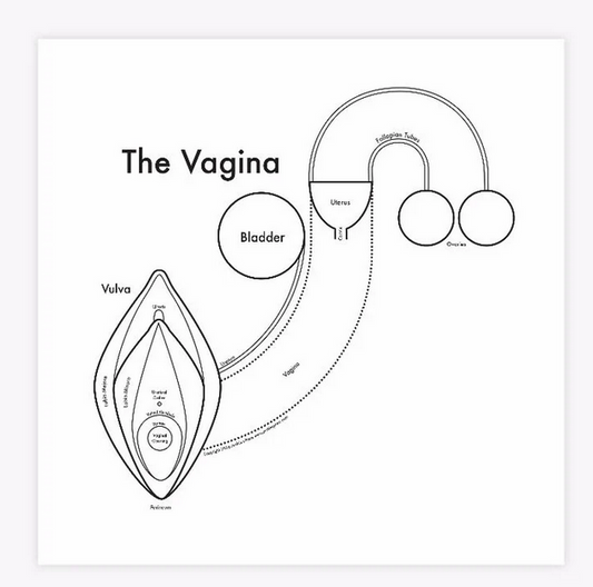 Vagina Print