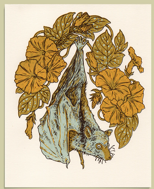 Flying Fox