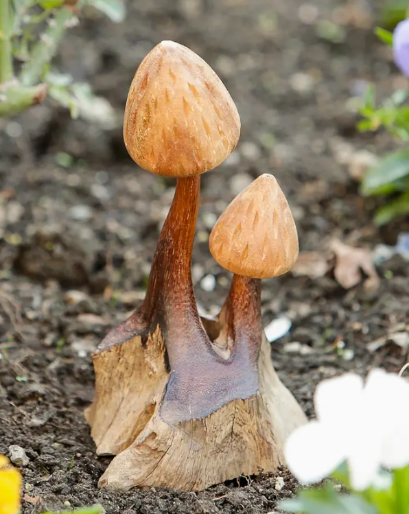 Wooden Shaggy Mushroom