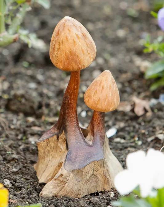Wooden Shaggy Mushroom