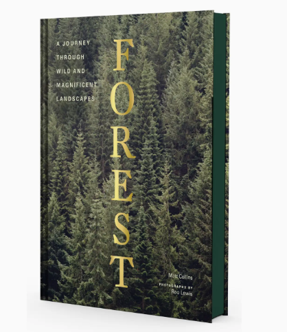 Book cover with forest design and gold text on a white background
