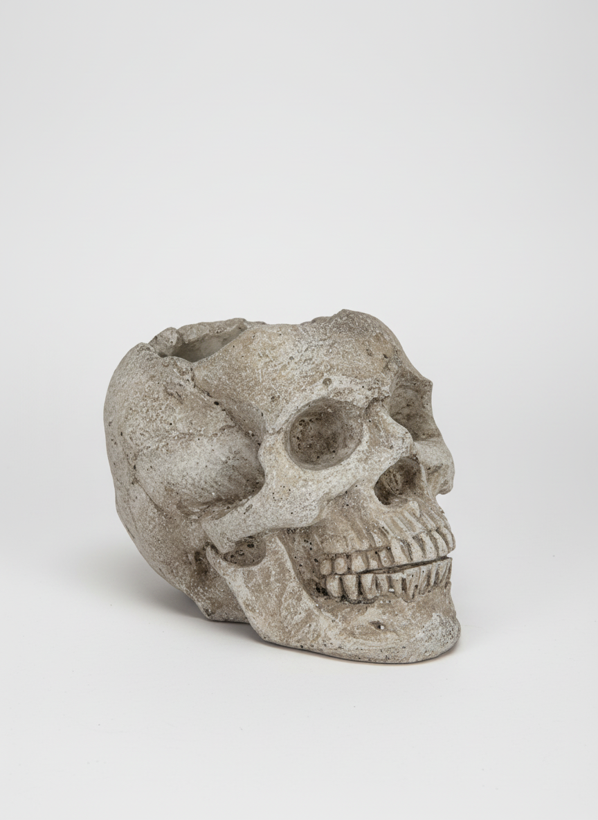 Stone-like skull on a white background