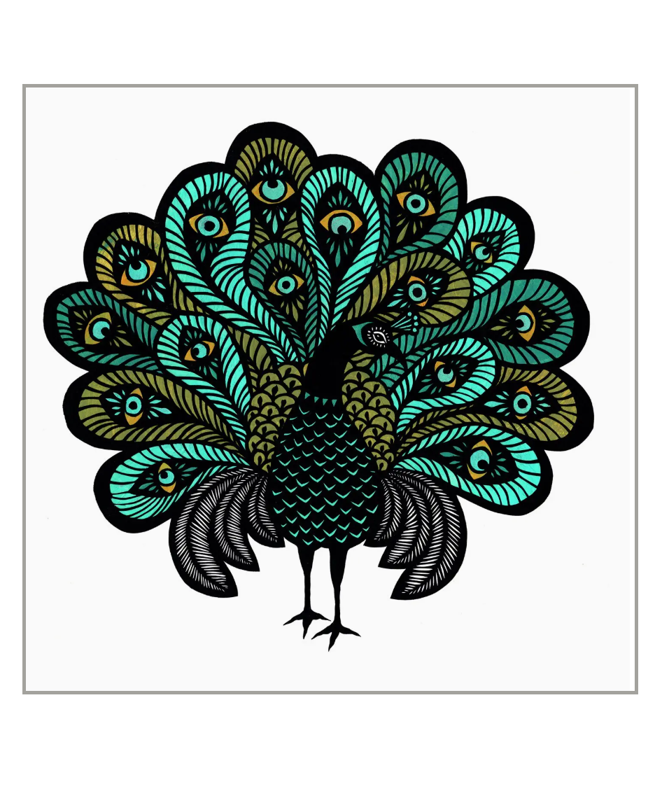 Colorful peacock illustration on a white background