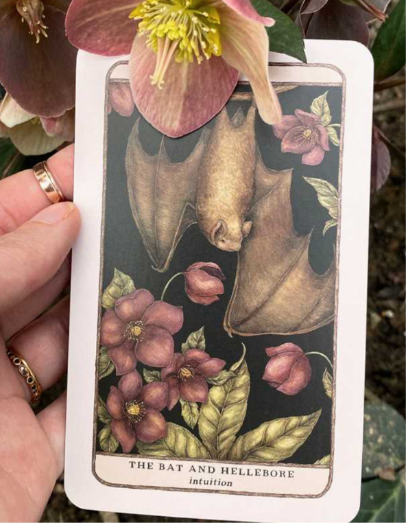 Woodland Wardens Oracle Deck