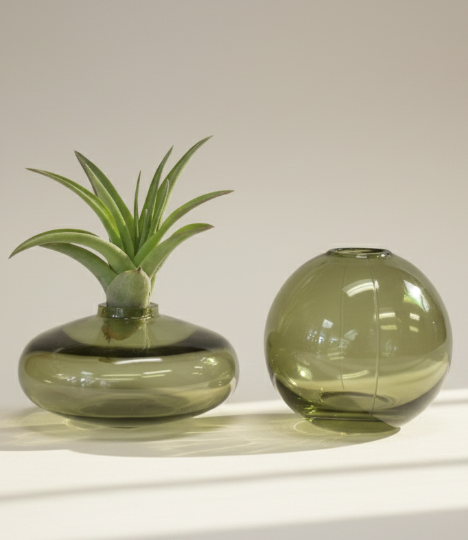 Two green glass vases with one containing a small plant on a white surface.