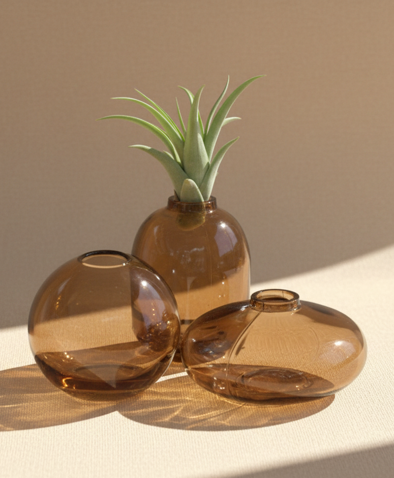 Three brown glass vases on a white surface with a small green plant.