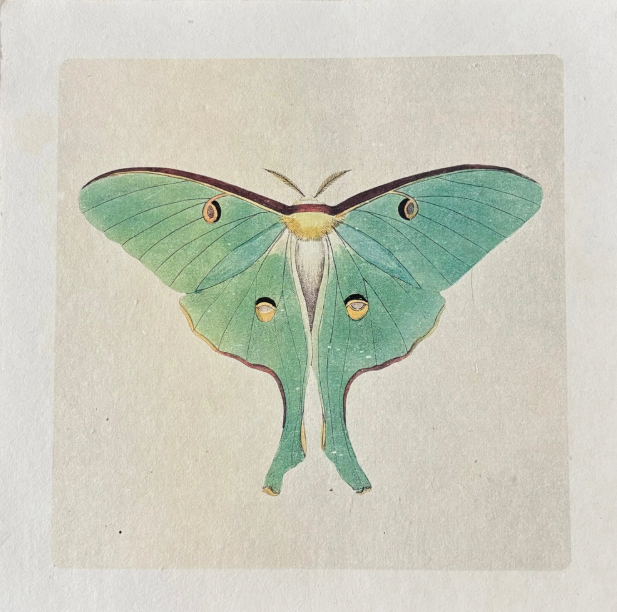 Green Luna Moth Print