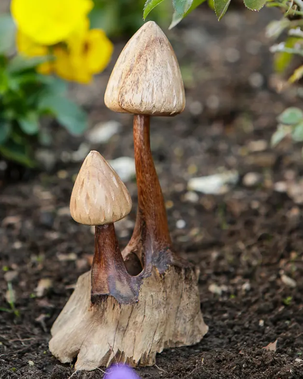Wooden Shaggy Mushroom